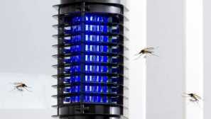 Mosquito lampy: jak si vybrat a udělat to sami